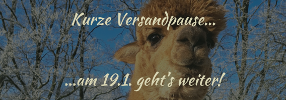 Kurze Versandpause - am 19.1. geht's weiter!